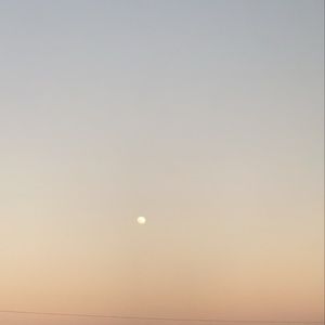 Meet your Posher, Hailey